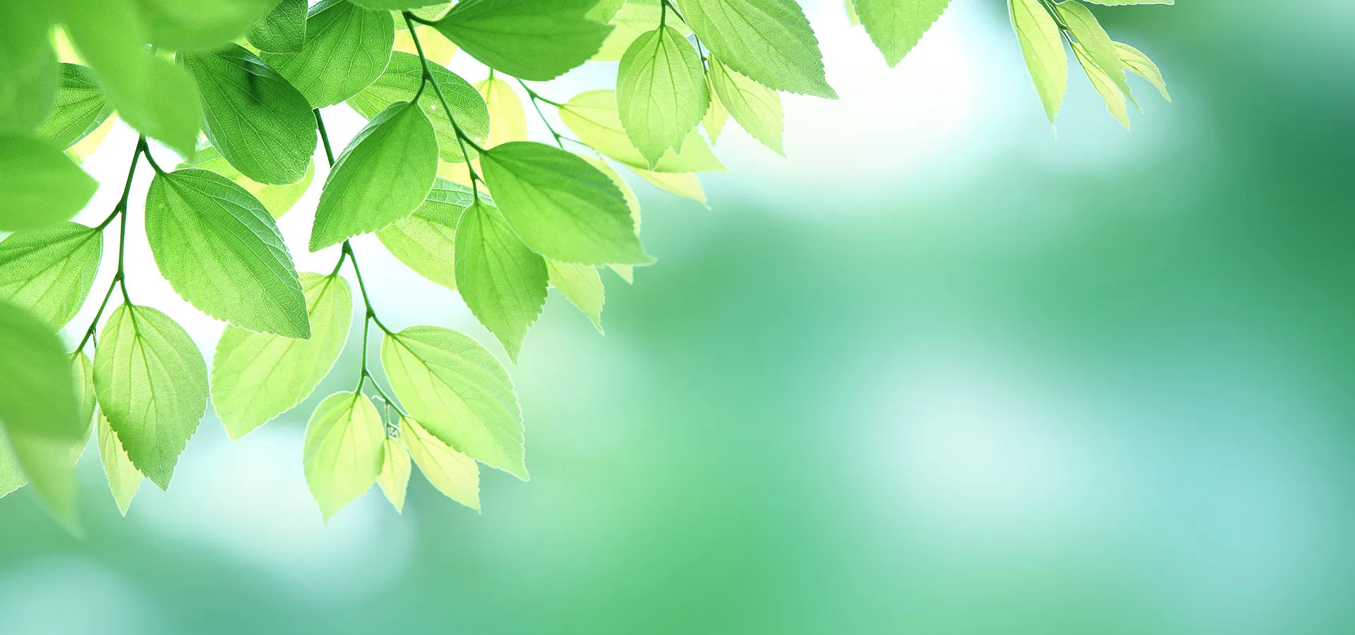 遺言がないと何が起きる？（その３）